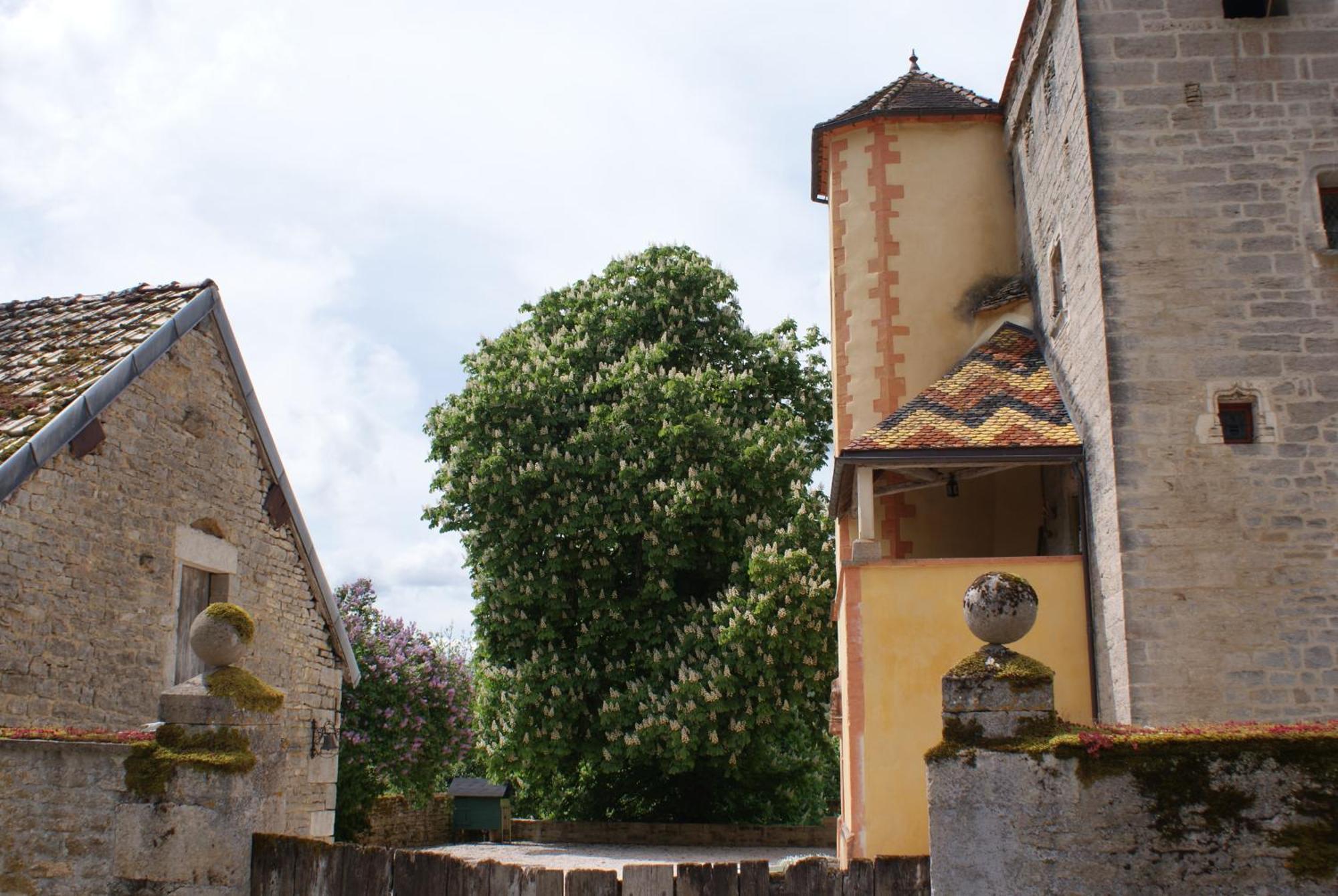 Chateau De Champrenault, Voyagez Dans Le Temps المظهر الخارجي الصورة